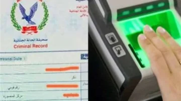 بدون المكاتب.. طريقة إصدار الفيش الجنائي إلكترونيا في دقائق عبر المنصة المصرية